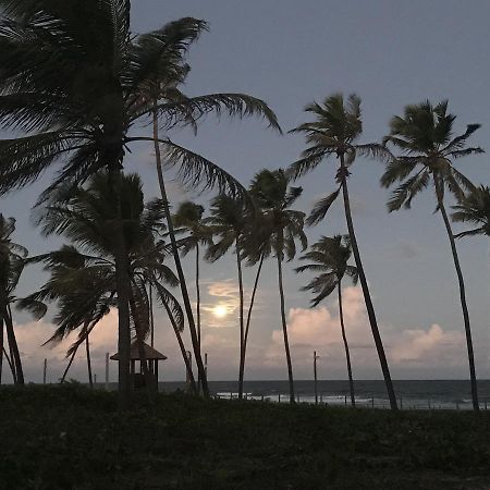 Vilage Em Praia Do Forte Eksteriør billede