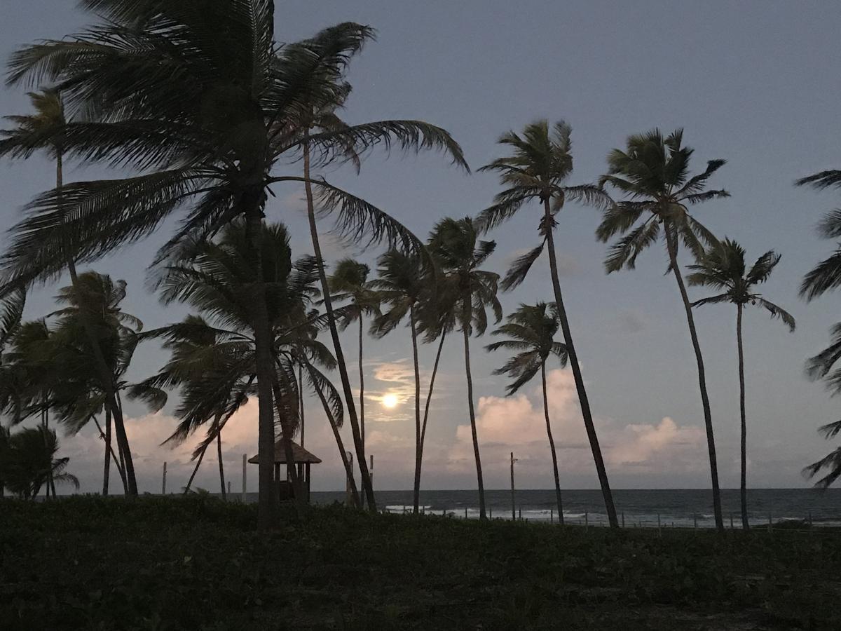 Vilage Em Praia Do Forte Eksteriør billede